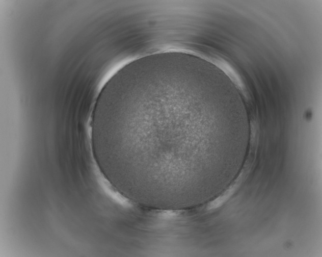 X0000091960814200709131225