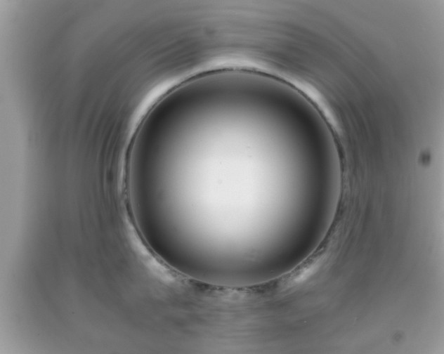 X0000091960815200709131225