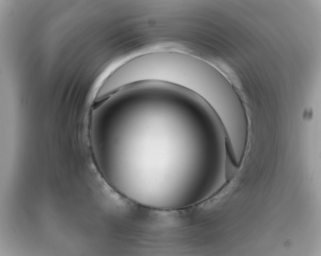 X0000091960816200709131225