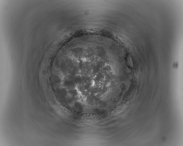 X0000091960817200709131225