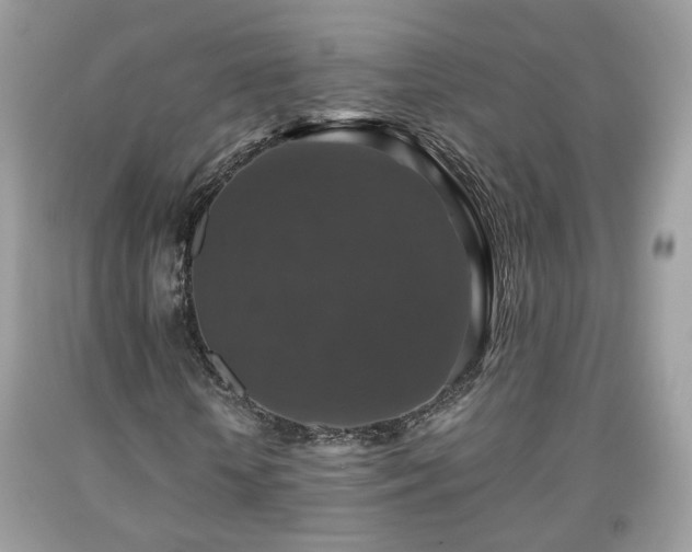 X0000091960818200709131225