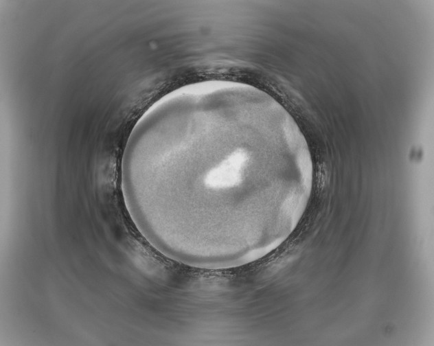 X0000091960820200709131225