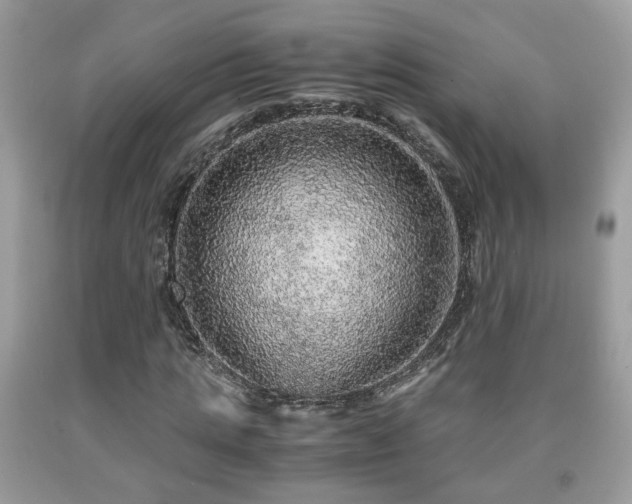 X0000091960821200709131225