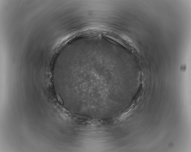 X0000091960822200709131225