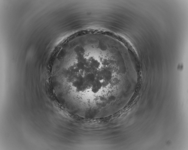 X0000091960823200709131225