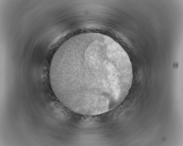 X0000091960824200709131225