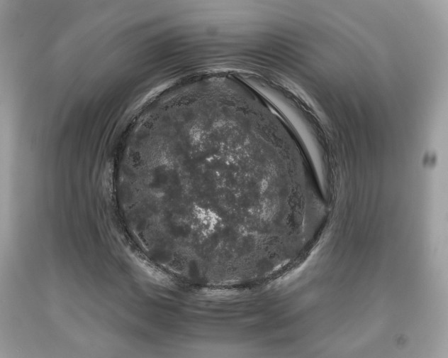 X0000091960825200709131225