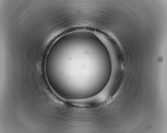 X0000091960826200709131225