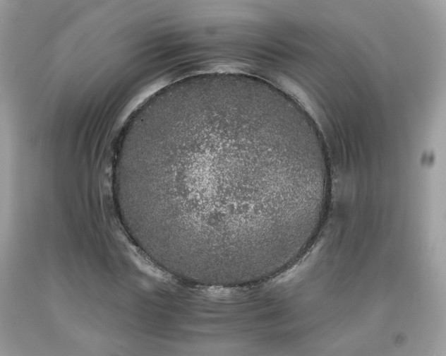 X0000091960827200709131225