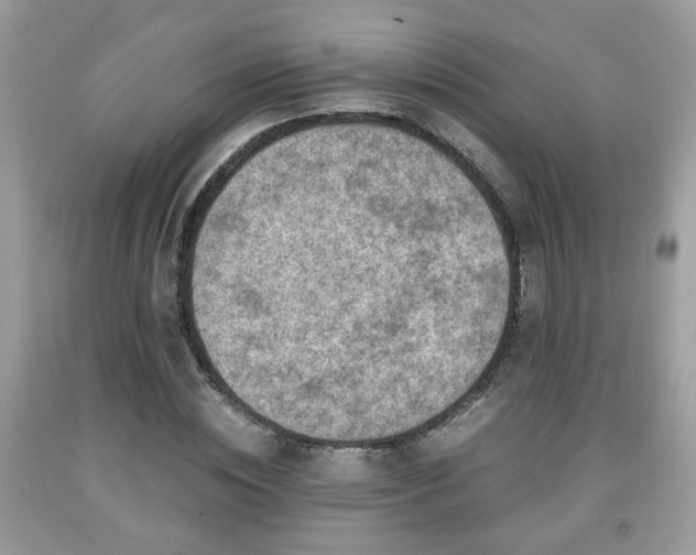 X0000091960828200709131225