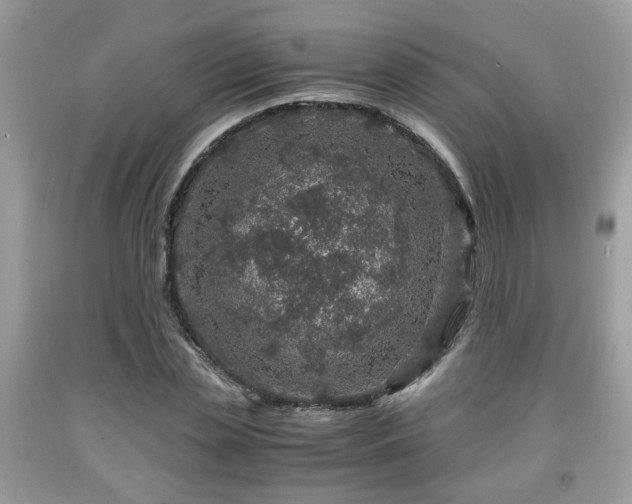 X0000091960829200709131225