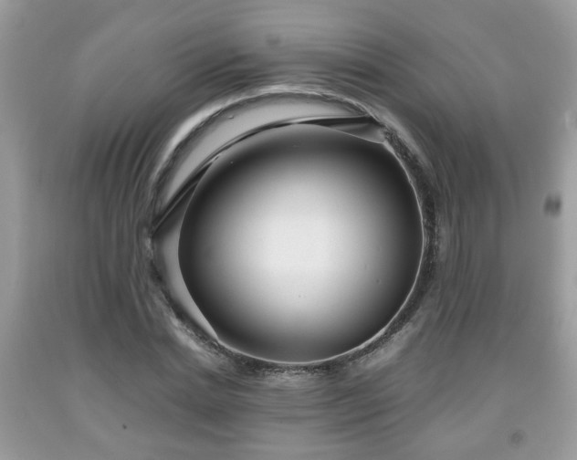 X0000091960830200709131225