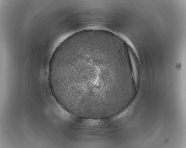 X0000091960831200709131225