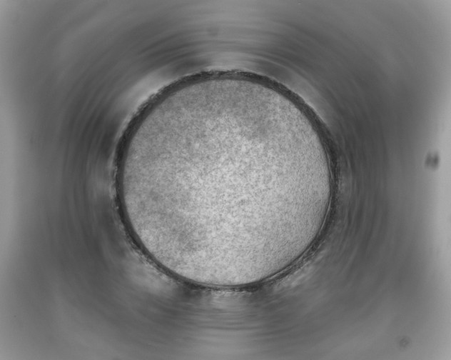 X0000091960832200709131225