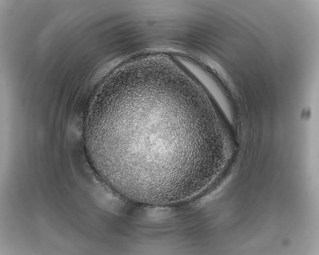 X0000091960833200709131225