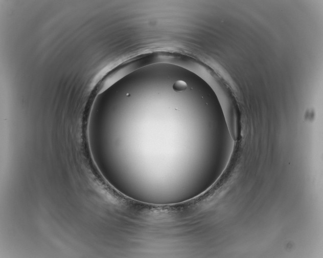 X0000091960834200709131225