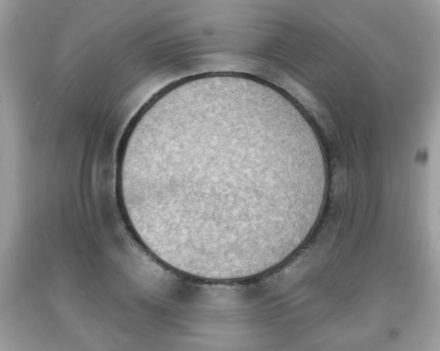 X0000091960836200709131225