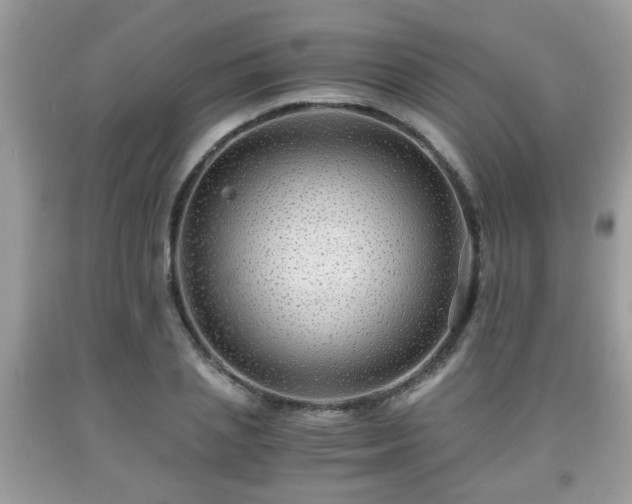 X0000091960837200709131225