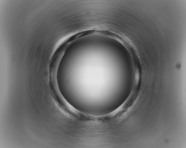 X0000091960838200709131225