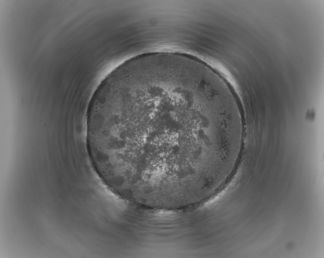 X0000091960839200709131225