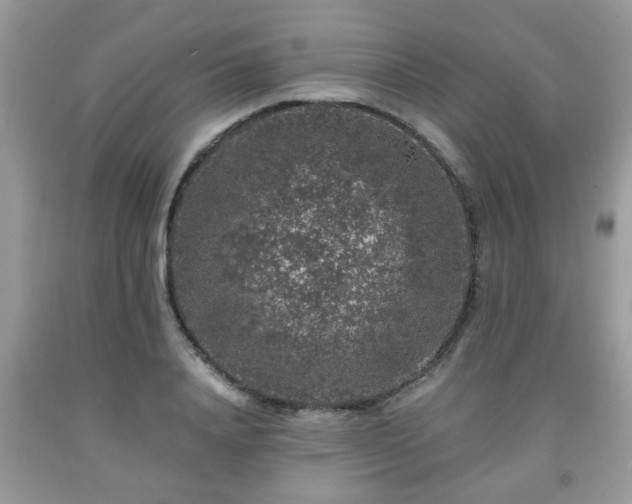 X0000091960840200709131225