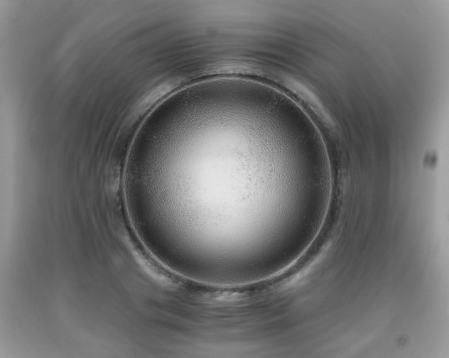 X0000091960841200709131225