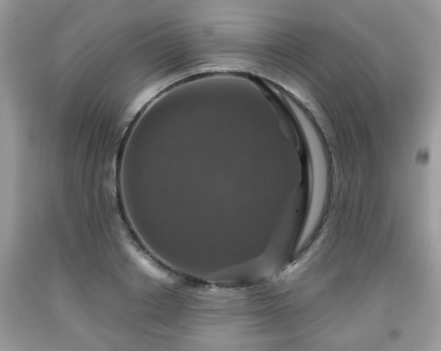 X0000091960842200709131225