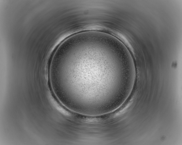 X0000091960843200709131225