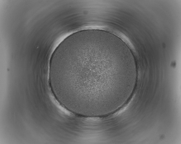 X0000091960844200709131225