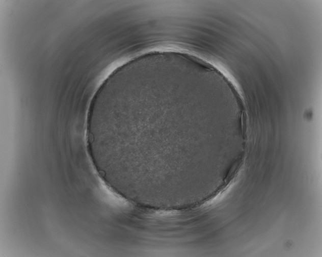 X0000091960845200709131225