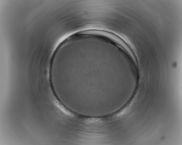 X0000091960846200709131225