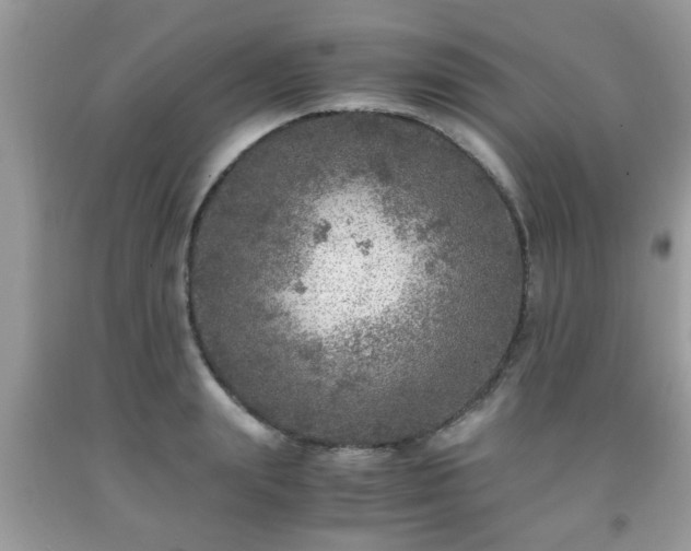 X0000091960847200709131225