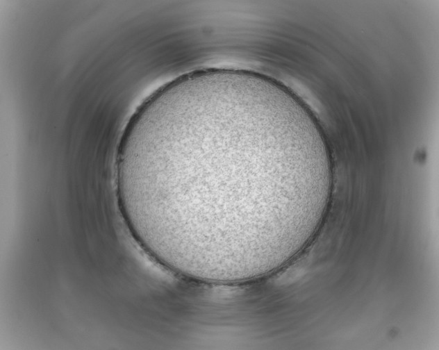 X0000091960848200709131225