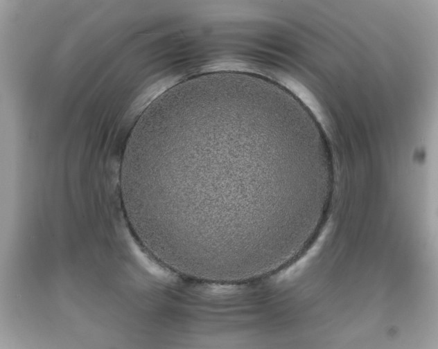 X0000091960849200709131225