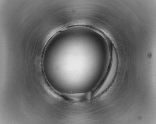 X0000091960850200709131225