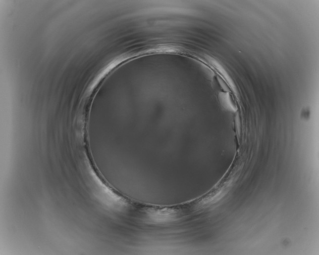 X0000091960851200709131225