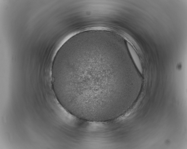 X0000091960852200709131225