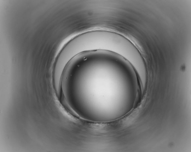 X0000091960854200709131225