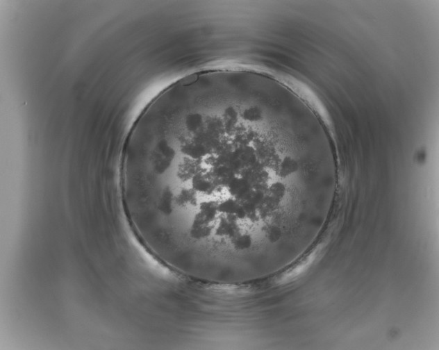 X0000091960855200709131225