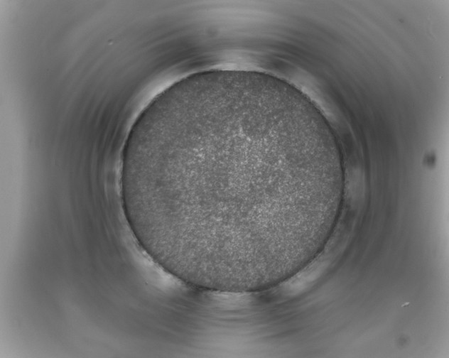 X0000091960856200709131225