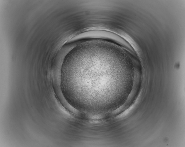 X0000091960857200709131225