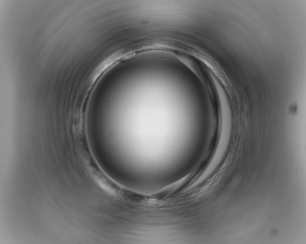 X0000091960858200709131225