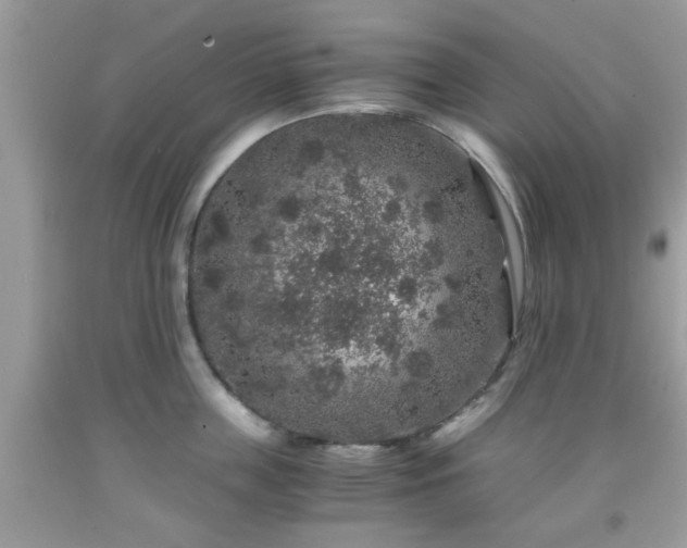 X0000091960859200709131225