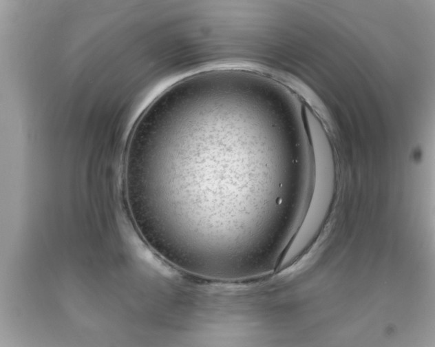 X0000091960860200709131225