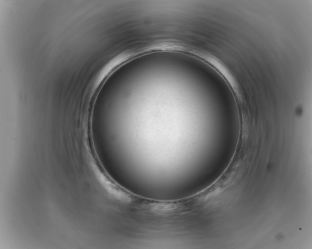 X0000091960861200709131225