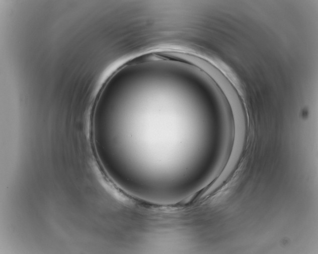 X0000091960862200709131225