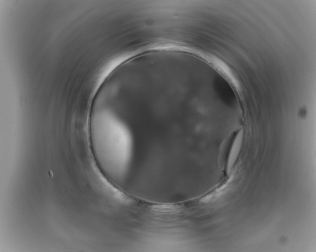 X0000091960863200709131225