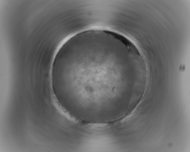 X0000091960864200709131225