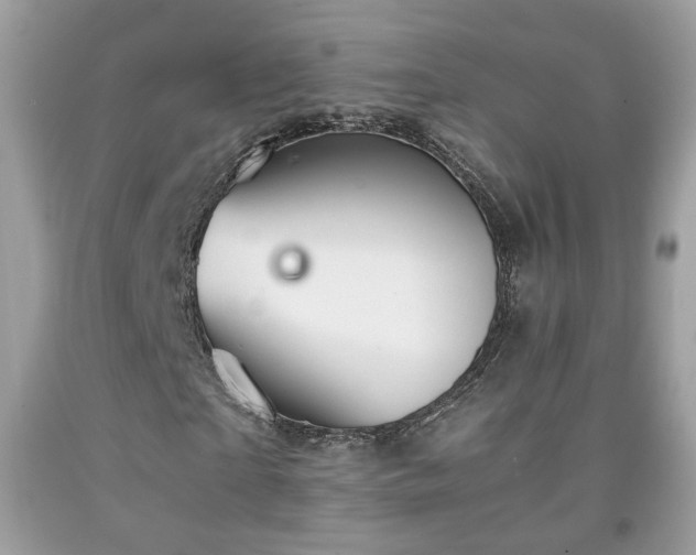 X0000091960865200709131225