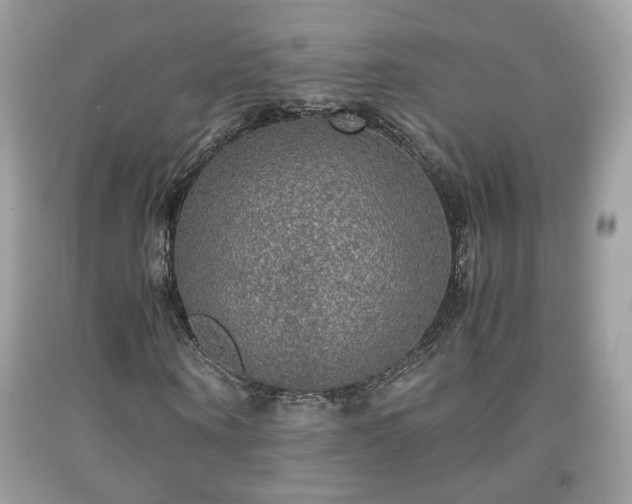 X0000091960866200709131225